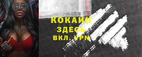 ешки Аркадак