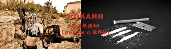 ешки Аркадак