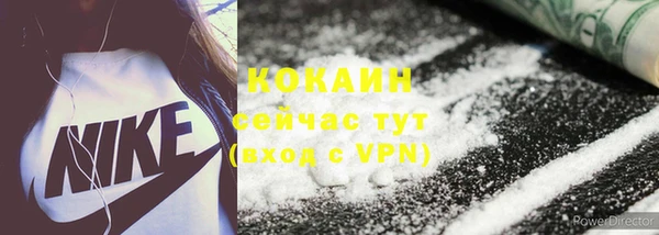 ешки Аркадак