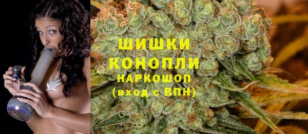 ешки Аркадак
