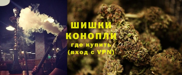 ешки Аркадак