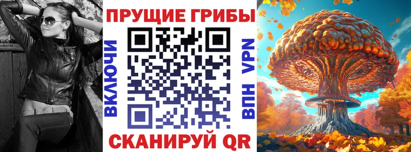 Галлюциногенные грибы Psilocybe Бирск